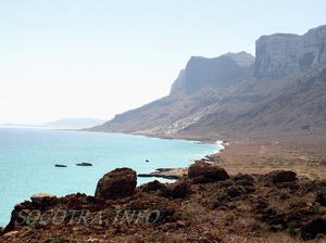 Йемен, остров Сокотра | Сокотра (Socotra). Йемен