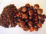 Кровь дракона — отличный антисептик