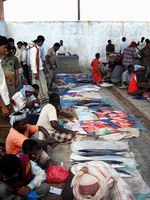 Рыбный рынок в Хадибо