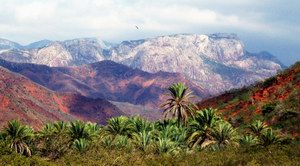 Пейзажи на плато Mumi, Socotra