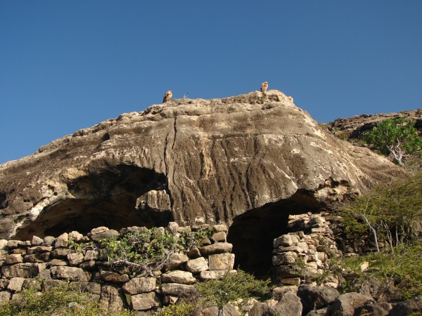 Пещера в долине Снов на Сокотре