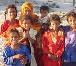 От сокотрийских гидов