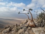 Трекинговый тур глазами Ольги Глебовой