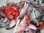 Рыбные рынки и рыбаки