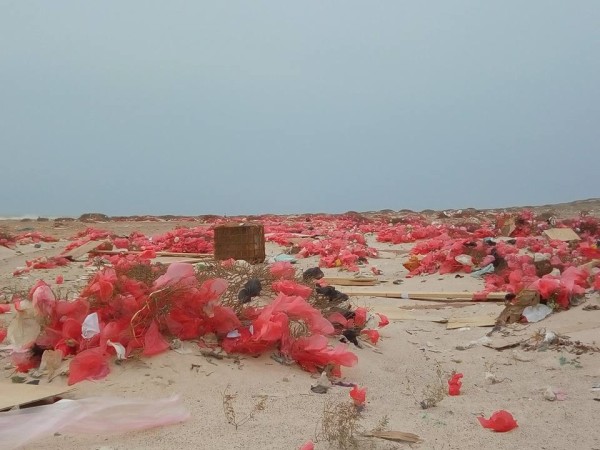 Остров Сокотра после тропического циклона
